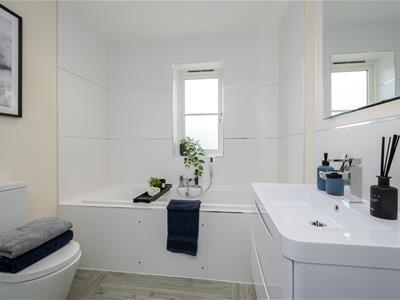 Picture 21